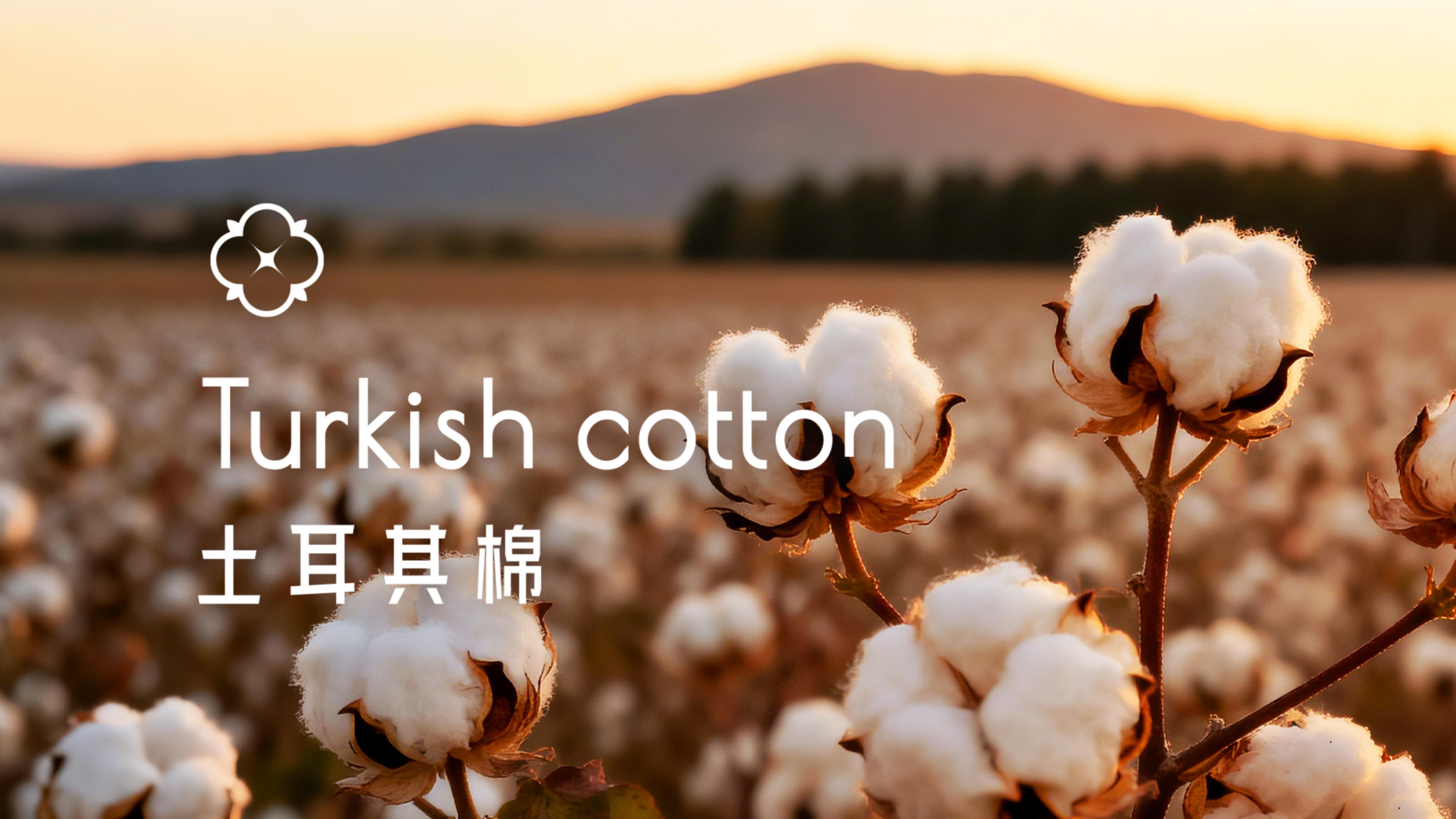 15_Turkish Cottion_01.jpg