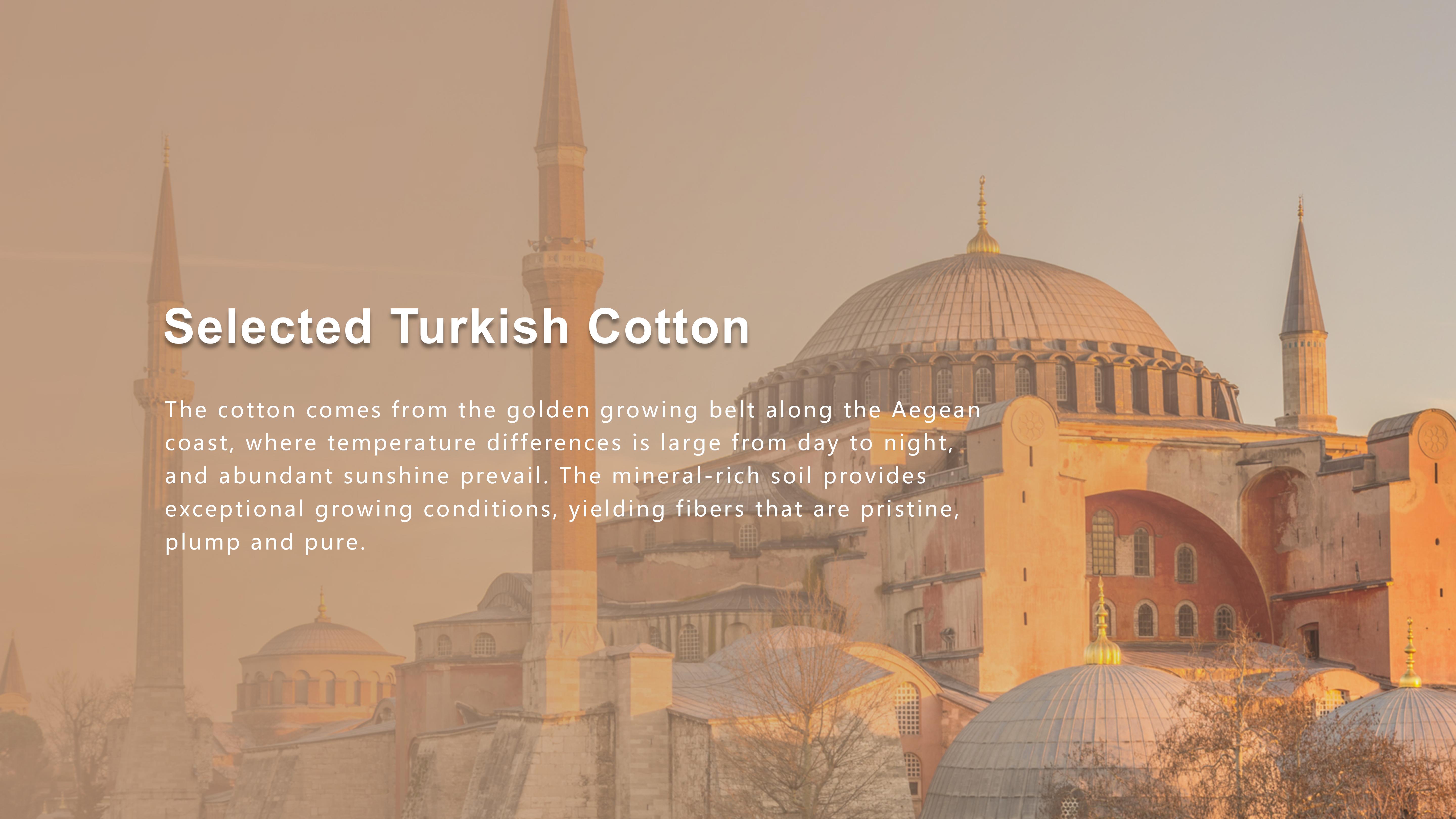 15_Turkish Cottion_02.jpg
