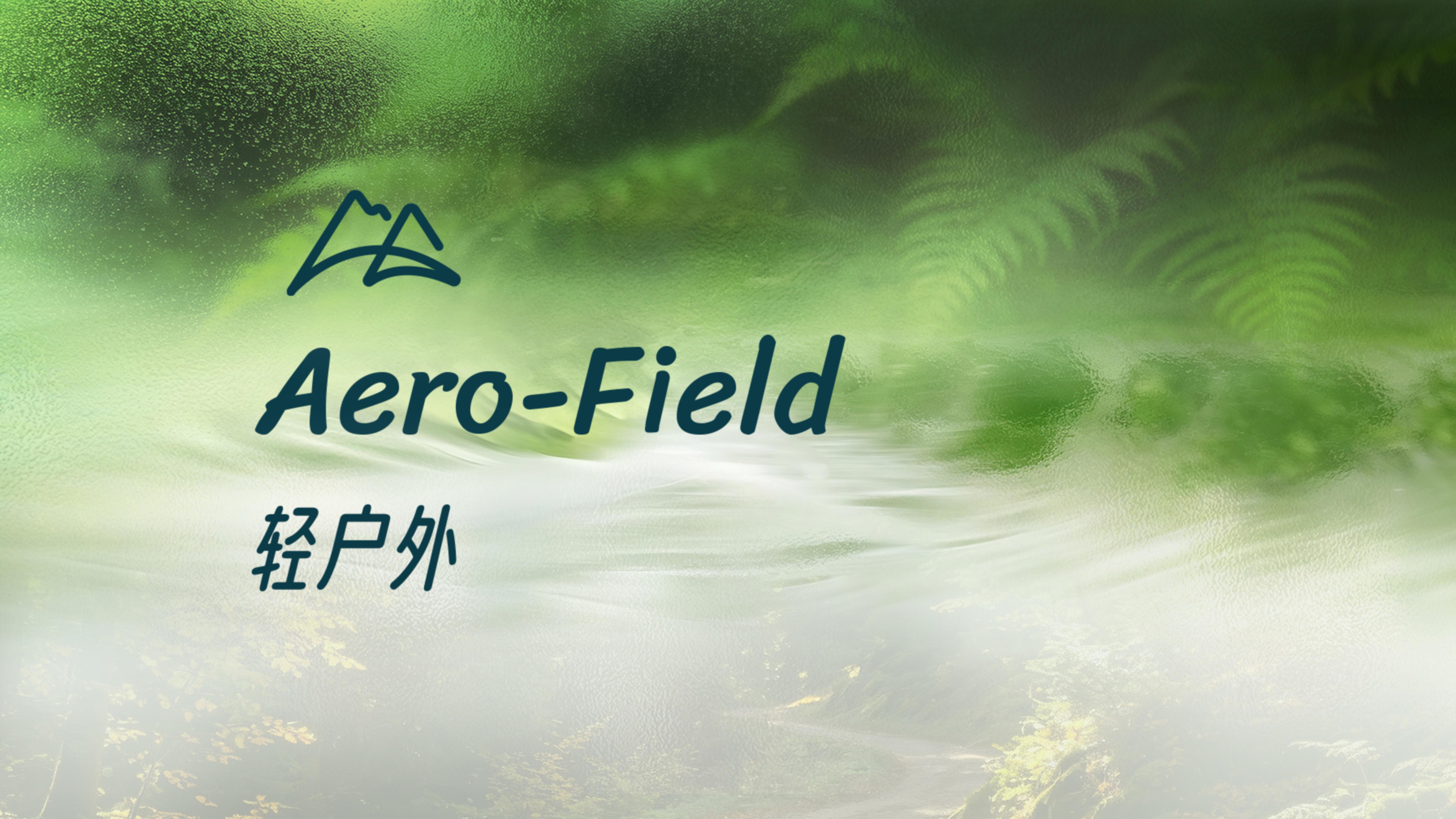 4_Aero-Field1_01.jpg